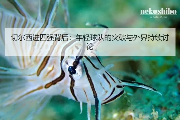 切尔西进四强背后：年轻球队的突破与外界持续讨论